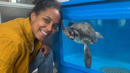 Abtauchen in die Seegraswiese |  Pia mit der Unechten Karettschildkröte "Nettuno".