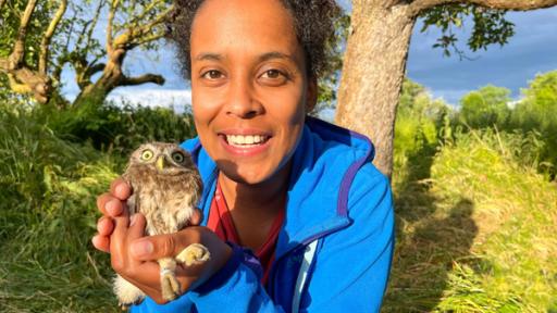 Superflieger auf der Streuobstwiese | Pia hilft einen jungen Steinkauz zu beringen. Die selten gewordenen Eulenvögel finden auf einer Streuobstwiese tolle Nistmöglichkeiten.