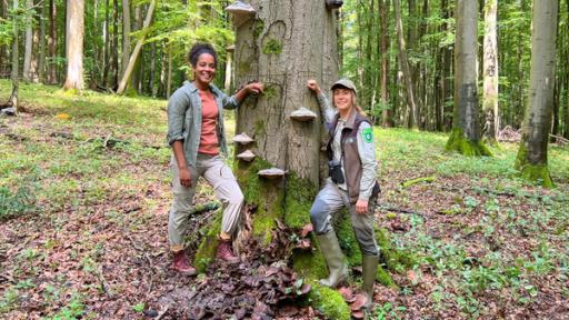 Was versteckt sich im Buchenwald? | Pia und Nationalpark-Rangerin Sandra vor einer alten Buche mit Zunderschwämmen. (Sandra Wendt).	