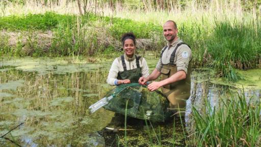 Auf Schatzsuche im Spreewald | Für Pia und Ranger Alex geht es ins Wasser. Sie sind auf Amphibien-Suche und kontrollieren Reusen, die zum Monitoring verwendet werden.