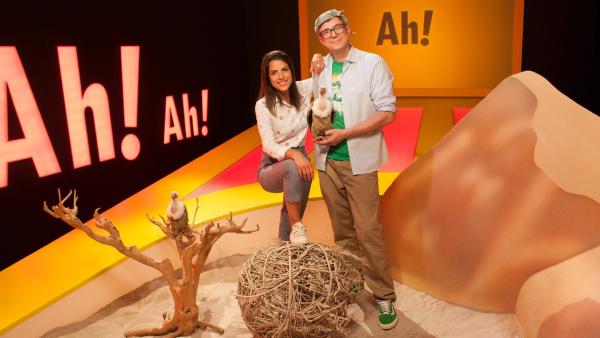 Heiß – heißer – „Wissen macht Ah!“. Clarissa und Ralph führen durch eine Sendung mit Wüstenfeeling. | Rechte: WDR/Thorsten Schneider