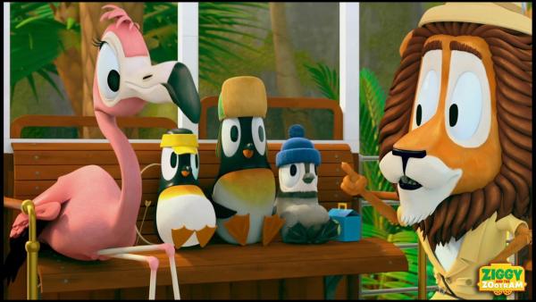 Lionel (Löwe) hält Flora (Flamingo) und den Pinguinen einen Vortrag über das richtige Waschen. | Rechte: ZDF/Gaumont Animation