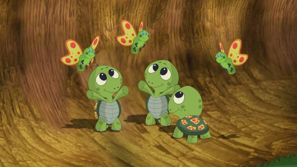 Mit Hilfe der Schmetterlinge können Zoé und ihre Freunde die Schildkröten-Babys wiederfinden. | Rechte: KiKA/Mike Young Productions