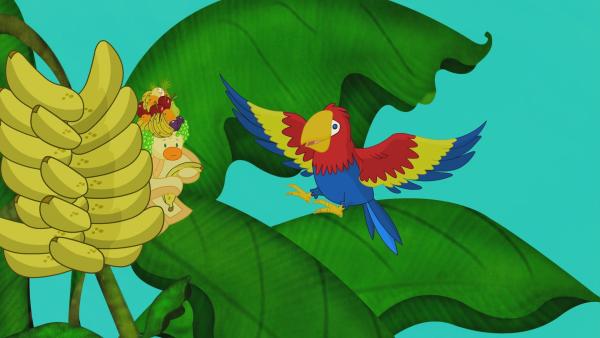 QuackQuack und der Papagei in einem Bananenstrauch in Brasilien. | Rechte: KiKA/Mike Young Productions