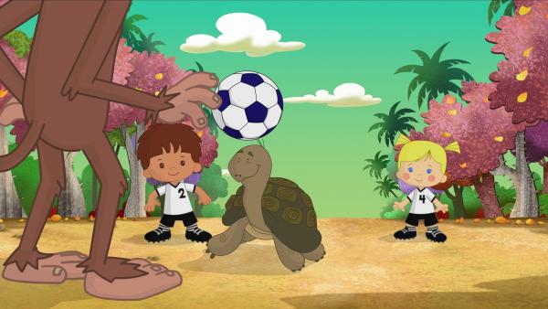 Finn, die Schildkröte Tess und Zoé spielen Fußball gegen drei Affen. | Rechte: KiKA/Mike Young Productions
