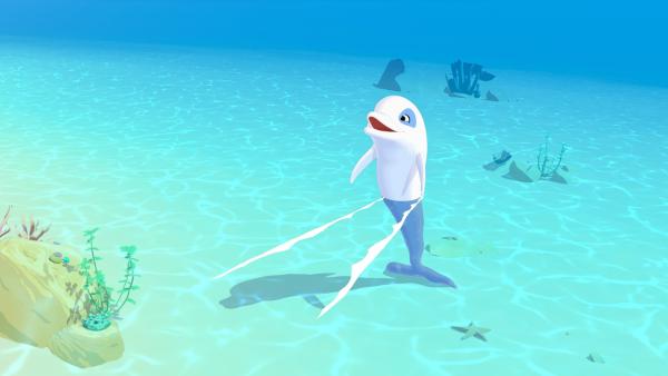 Zoom, der weiße Delfin, freut sich. | Rechte: ZDF/Media Valley/Marzipan Films/TF1/Gaumont Animation