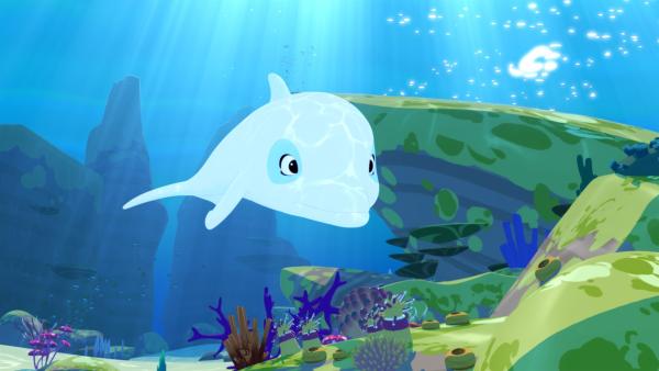 Der weiße Delfin Zoom ist im Meer auf der Suche nach der verschwundenen Schildkröte. | Rechte: ZDF/Media Valley/Marzipan Films/TF1/Gaumont Animation