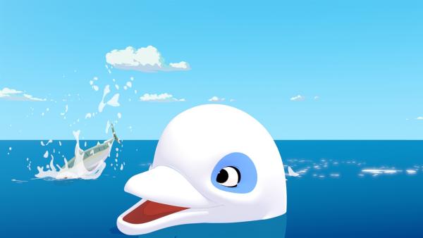 Der weiße Delfin Zoom schaut mit dem Kopf aus dem Wasser und schaut begeistert einem Fisch hinterher, der gerade neben ihm im Meer landet. | Rechte: ZDF/Media Valley/Marzipan Films/TF1/Gaumont Animation